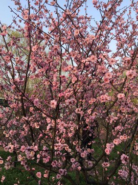 @拉芳主播照片