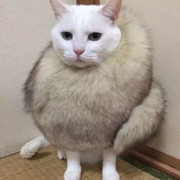 要你做自己的頭像