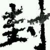 玖玖s