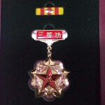 绿色回忆w