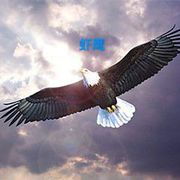 天空上的虾鹰999的头像