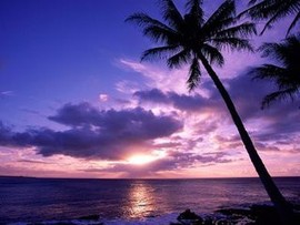 湘南柴子主播照片
