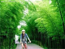 湘南柴子主播照片