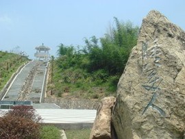 湘南柴子主播照片