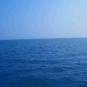 蹭歌♛蹭舞♛蹭唠海报