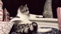 Ⅶゞ★♪♬蹭歌王♬♪主播照片