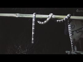 🚩风景🚩主播照片