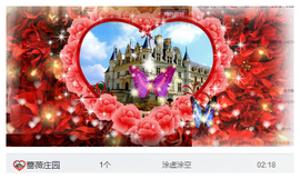 ✨11✨主播照片