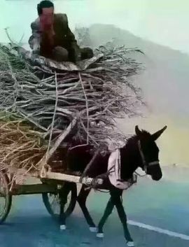 珊珊33🍓主播照片