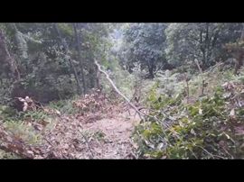 🚩风景🚩主播照片