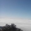 白纸的天真7