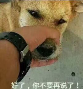 洛C~~主播照片
