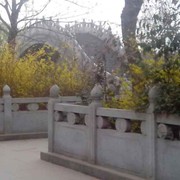 飞龙_0193751