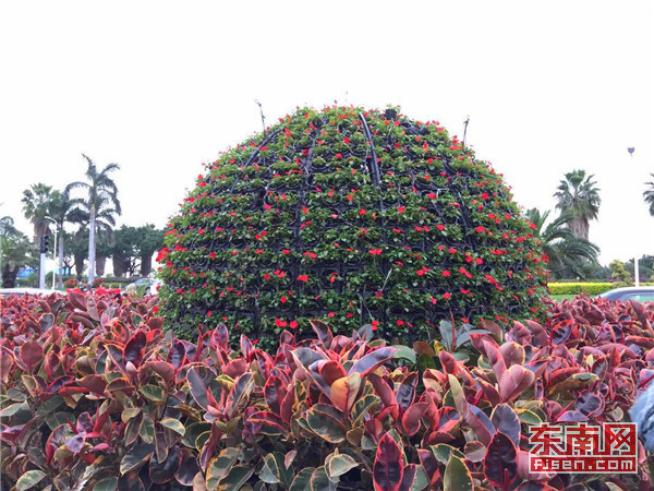 ??環島心扉??的主播照片