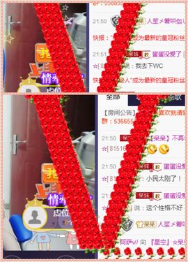 呆呆就此离开主播照片