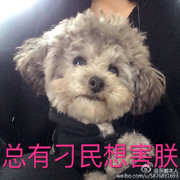 微信_0621856