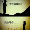 笑你像狗О箪裑鳜镞o