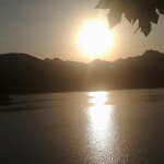 缘分从何来