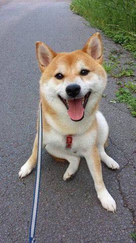 未央停播主播照片
