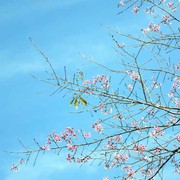 昵称违规，请重新修改