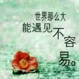 @白狐主播照片