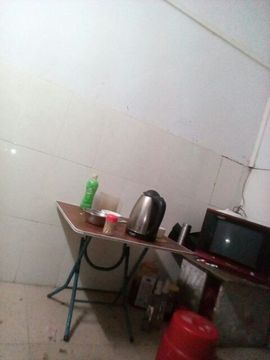罗。总主播照片
