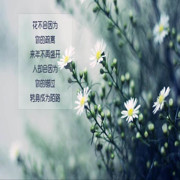 每天心情舒畅海报