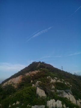 ✨媳婦⭐求🌙帶走✨主播照片
