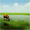 傲世、闫少