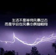 我是葵乌龟不是乌龟