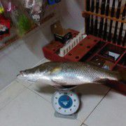 海钓哥