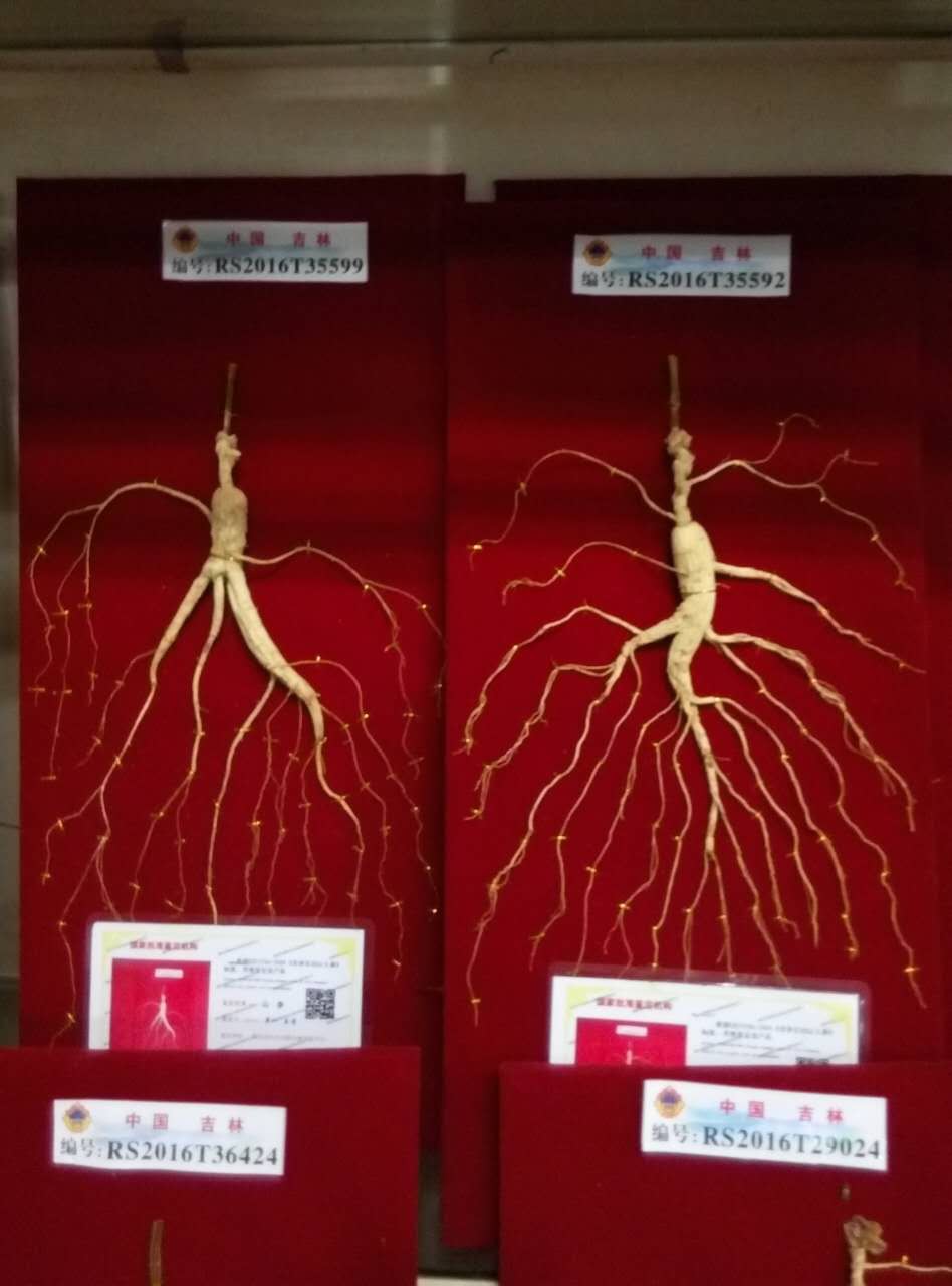 往事如烟飘飘就散的图片
