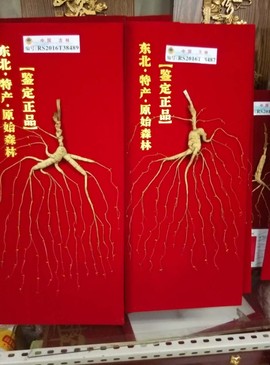 往事如烟飘飘就散主播照片