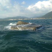 夏殇o○海报