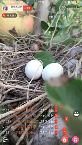 一秒钟の记忆主播照片