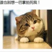 乱花渐欲迷人眼♛海报