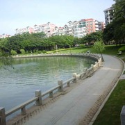 石头造型海报