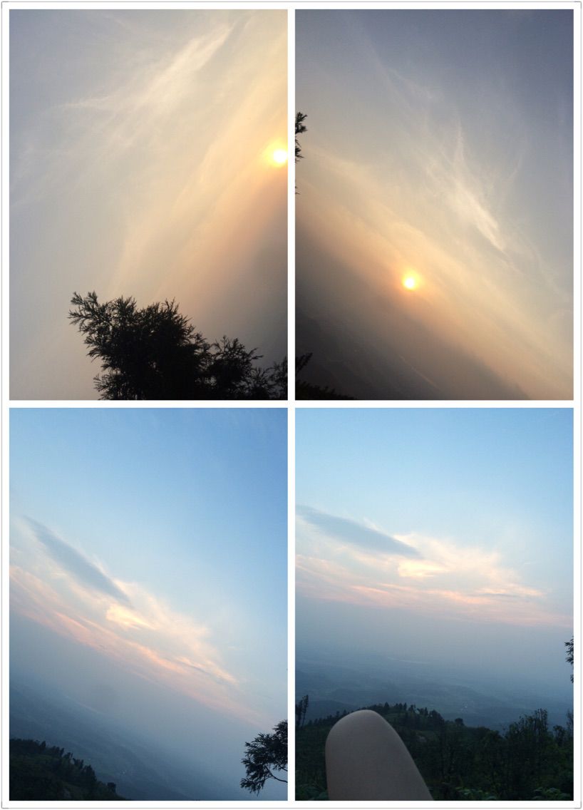 晚青要加油的主播照片