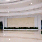 滨子🌴主播照片