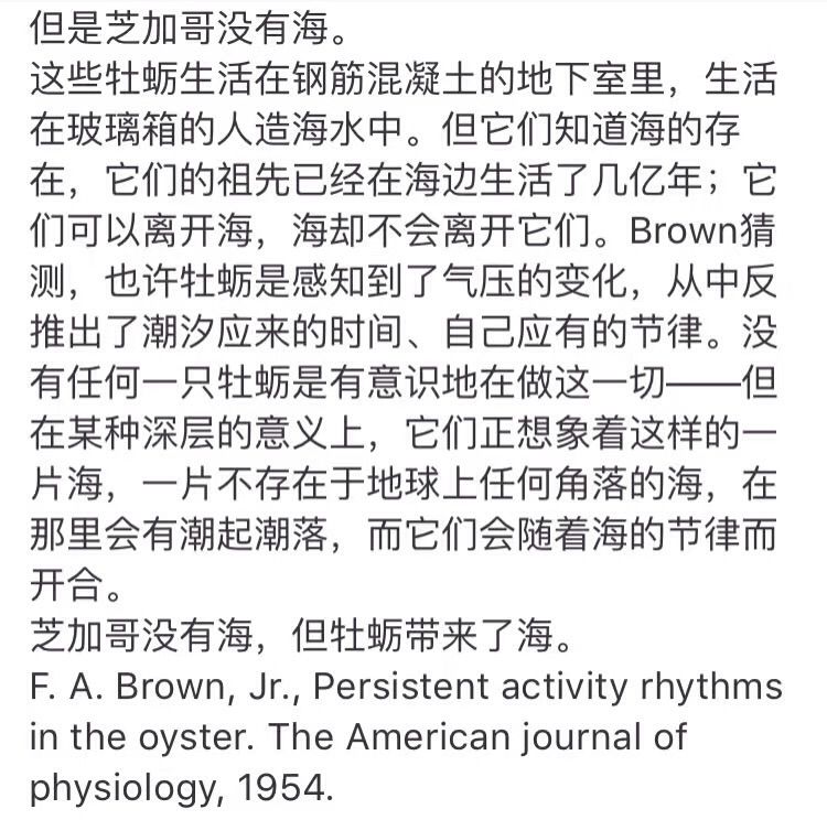 小冬笋的主播照片