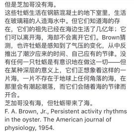 小冬笋主播照片