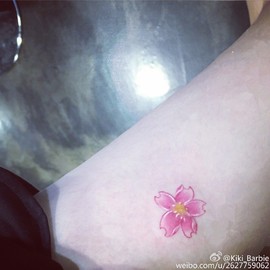 習慣有妮主播照片