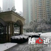 东哥de寂莫海报