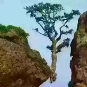 微信_2356688