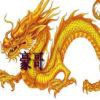 豪哥a4