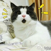 没钱没币别理我。
