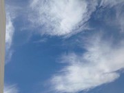 微信_2662757