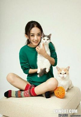 ✨媳婦⭐求🌙帶走✨主播照片