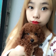 悦宝宝🎀头像