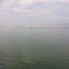 Loveanddoe海报